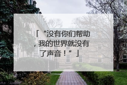 “没有你们帮助，我的世界就没有了声音！”