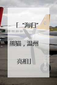 “海归”熊猫，温州亮相