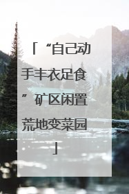 “自己动手丰衣足食”矿区闲置荒地变菜园