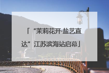 “茉莉花开·盐艺直达”江苏滨海站启幕