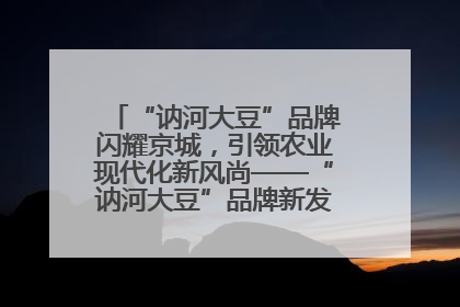 “讷河大豆”品牌闪耀京城，引领农业现代化新风尚——“讷河大豆”品牌新发地推介会圆满落幕