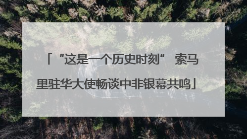 “这是一个历史时刻” 索马里驻华大使畅谈中非银幕共鸣