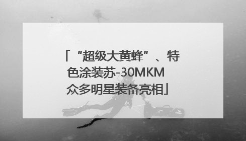 “超级大黄蜂”、特色涂装苏-30MKM 众多明星装备亮相