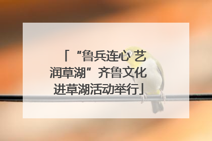 “鲁兵连心 艺润草湖”齐鲁文化进草湖活动举行