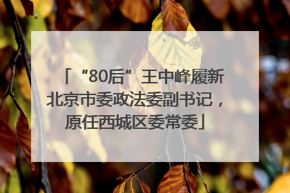 “80后”王中峰履新北京市委政法委副书记，原任西城区委常委
