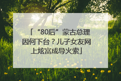 “80后”蒙古总理因何下台？儿子女友网上炫富成导火索
