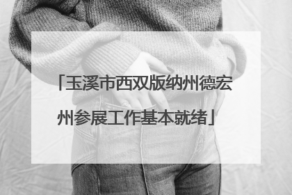 玉溪市西双版纳州德宏州参展工作基本就绪