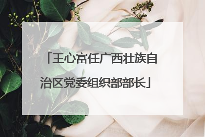 王心富任广西壮族自治区党委组织部部长