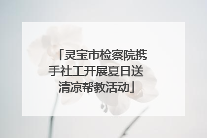 灵宝市检察院携手社工开展夏日送清凉帮教活动