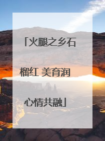 火腿之乡石榴红 美育润心情共融