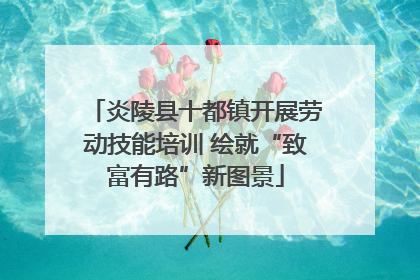 炎陵县十都镇开展劳动技能培训 绘就“致富有路”新图景