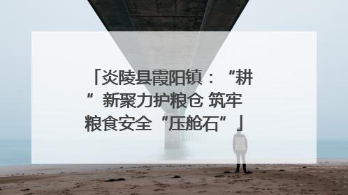 炎陵县霞阳镇：“耕”新聚力护粮仓 筑牢粮食安全“压舱石”