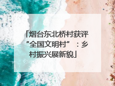 烟台东北桥村获评“全国文明村”：乡村振兴展新貌