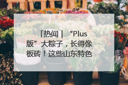 热闻｜“Plus版”大粽子，长得像板砖！这些山东特色粽子你吃过吗？