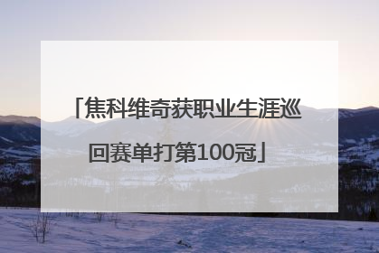 焦科维奇获职业生涯巡回赛单打第100冠