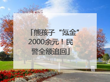 熊孩子“氪金”2000余元！民警全额追回