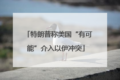 特朗普称美国“有可能”介入以伊冲突