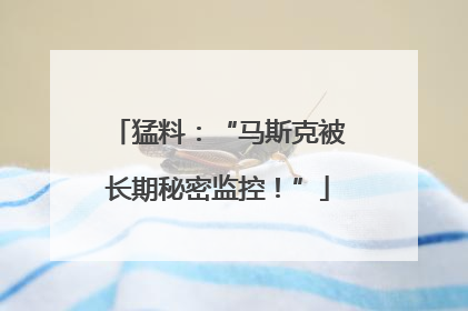 猛料：“马斯克被长期秘密监控！”