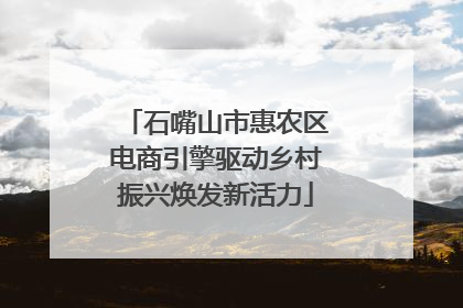 石嘴山市惠农区电商引擎驱动乡村振兴焕发新活力