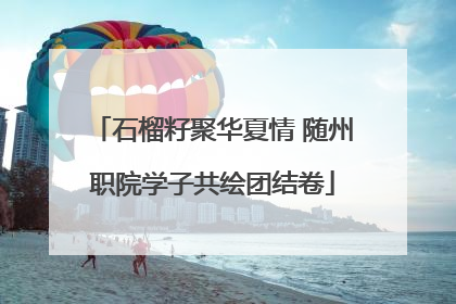 石榴籽聚华夏情 随州职院学子共绘团结卷