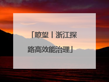 瞭望丨浙江探路高效能治理