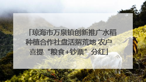 琼海市万泉镇创新推广水稻种植合作社盘活撂荒地 农户喜提“粮食+钞票”分红