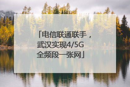电信联通联手，武汉实现4/5G全频段一张网