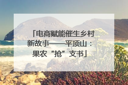 电商赋能催生乡村新故事——平顶山：果农“抢”支书