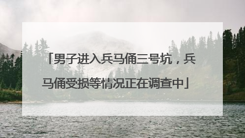 男子进入兵马俑三号坑，兵马俑受损等情况正在调查中