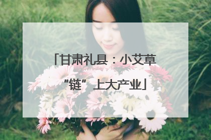 甘肃礼县：小艾草“链”上大产业