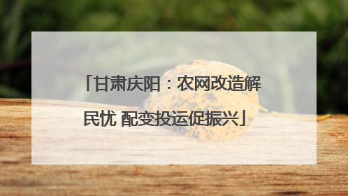 甘肃庆阳：农网改造解民忧 配变投运促振兴