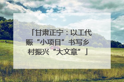甘肃正宁：以工代赈“小项目”书写乡村振兴“大文章”