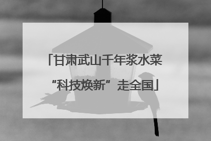 甘肃武山千年浆水菜“科技焕新”走全国
