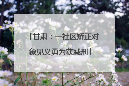 甘肃：一社区矫正对象见义勇为获减刑