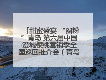 甜蜜盛宴 “圈粉”青岛 第六届中国·澄城樱桃营销季全国巡回推介会（青岛站）成功举办