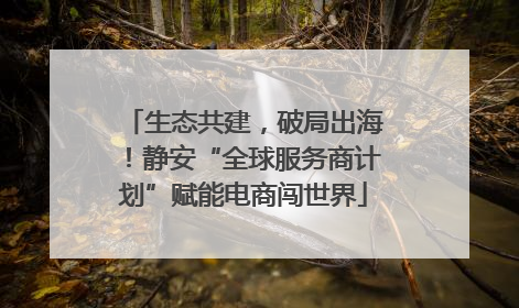 生态共建，破局出海！静安“全球服务商计划”赋能电商闯世界