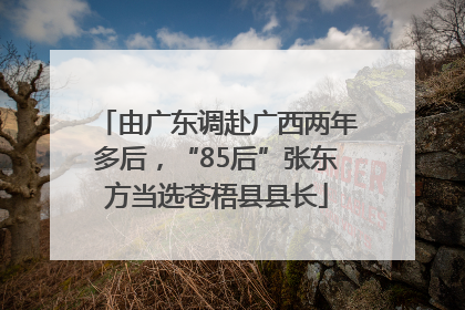 由广东调赴广西两年多后，“85后”张东方当选苍梧县县长