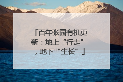 百年张园有机更新：地上“行走”，地下“生长”