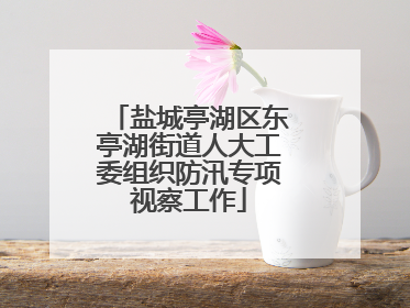 盐城亭湖区东亭湖街道人大工委组织防汛专项视察工作