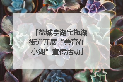 盐城亭湖宝瓶湖街道开展“善育在亭湖”宣传活动