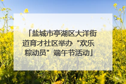 盐城市亭湖区大洋街道育才社区举办“欢乐粽动员”端午节活动