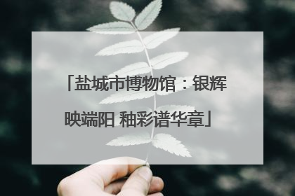 盐城市博物馆：银辉映端阳 釉彩谱华章
