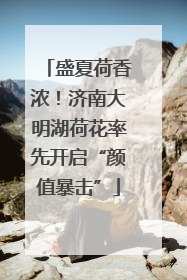 盛夏荷香浓！济南大明湖荷花率先开启“颜值暴击”