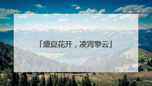 盛夏花开，凌霄攀云