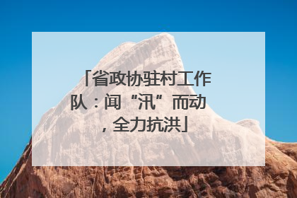 省政协驻村工作队：闻“汛”而动，全力抗洪