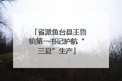 省派鱼台县王鲁镇第一书记护航“三夏”生产
