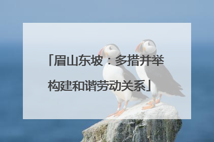 眉山东坡：多措并举构建和谐劳动关系
