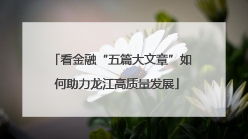 看金融“五篇大文章”如何助力龙江高质量发展