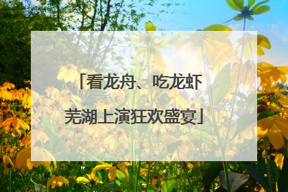 看龙舟、吃龙虾 芜湖上演狂欢盛宴