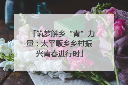 筑梦斛乡“青”力量：太平畈乡乡村振兴青春进行时